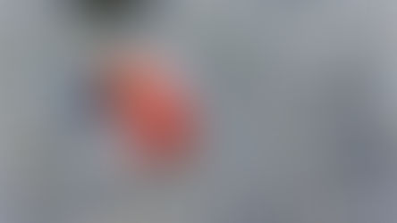 Winner of the 2022/23 Undergraduate Essay Competition: Sonia Lee