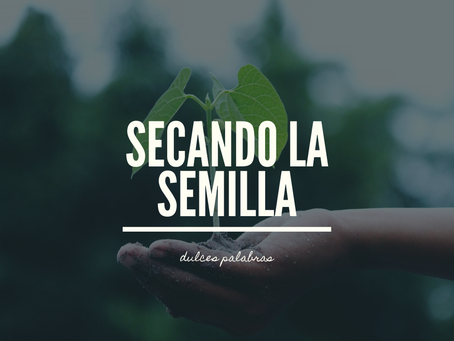 Secando la semilla