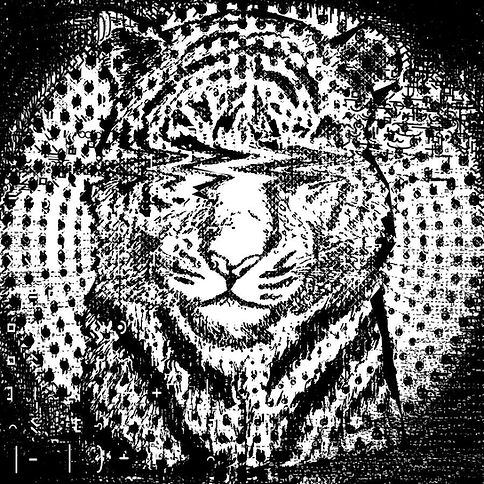 tigerglitchscreen.jpg