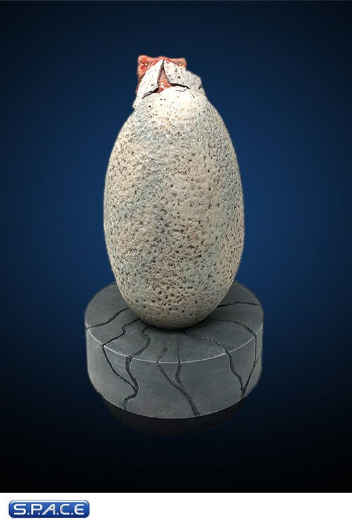 Miniaturbild: 1:1 Raptor Hatchling