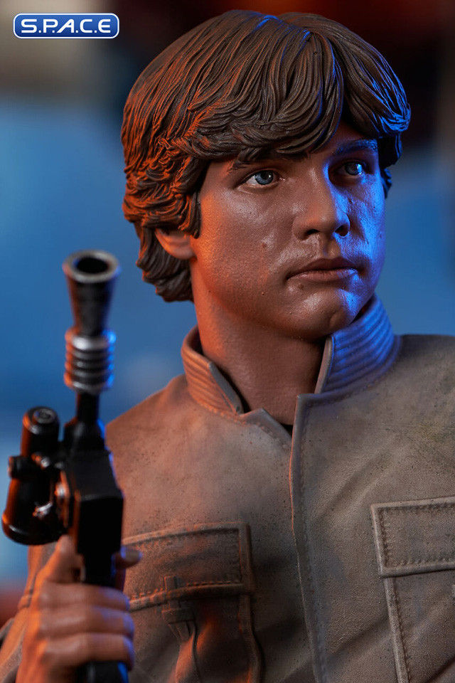 Miniaturbild: Luke Skywalker Bespin Bust