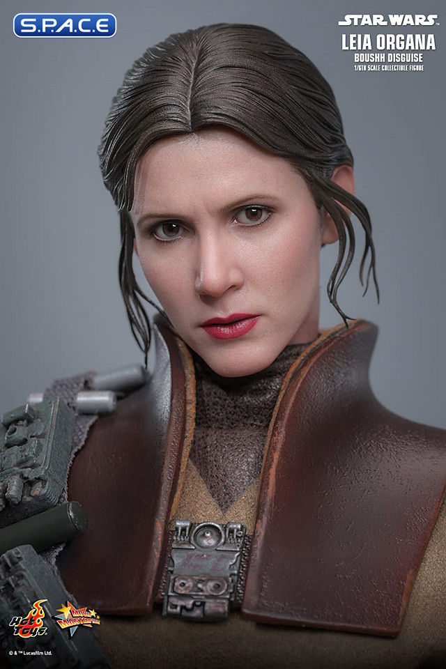 Miniaturbild: 1/6 Scale Leia Organa »Boushh Disguise« Movie Masterpiece MMS854 (Star Wars)