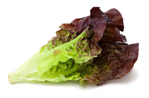 Beyond Organic Red Romaine Lettuce (100gm)