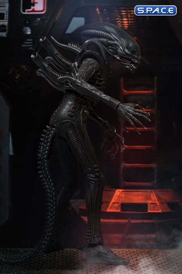 Miniaturbild: 1/12 Scale Alien One:12 Collective (Alien)