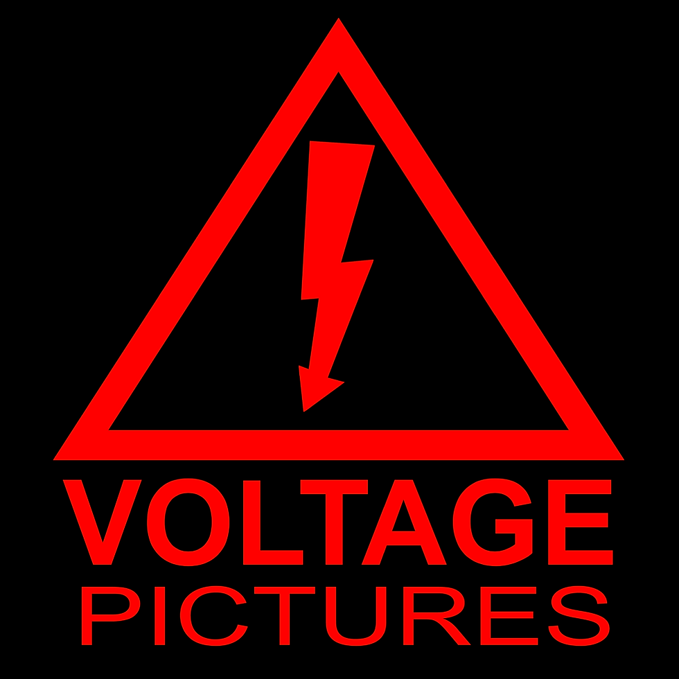 Voltage_Pictures_Logo