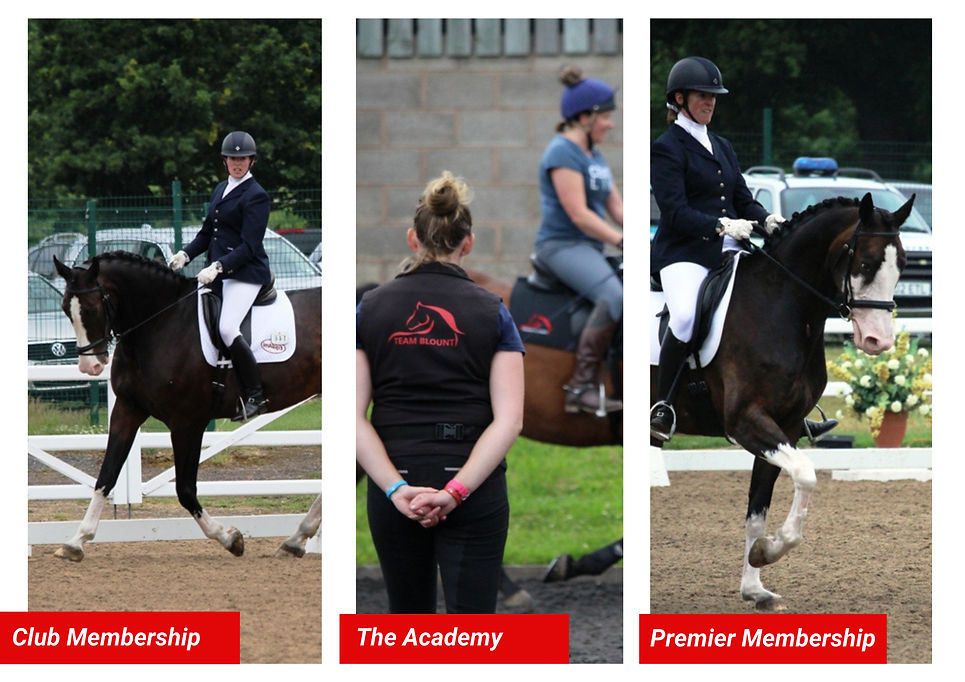 Memberships (1).png
