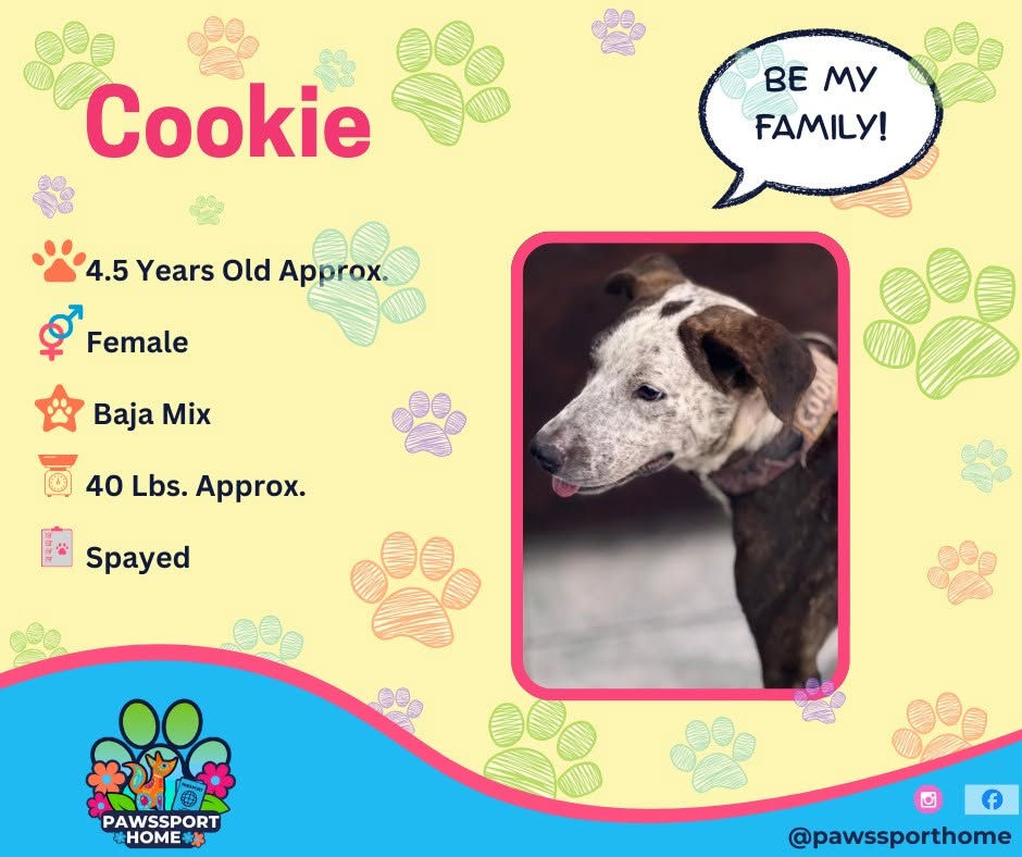 Cookie