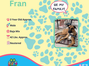 Fran