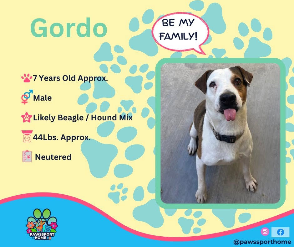 Gordo