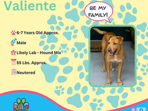 Valiente
