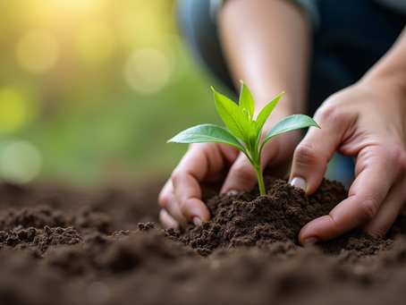 Gardening as a Mental Health Booster