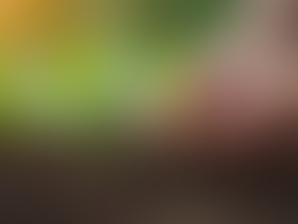 Benefits of Horticultural Therapy for Mental Wellness