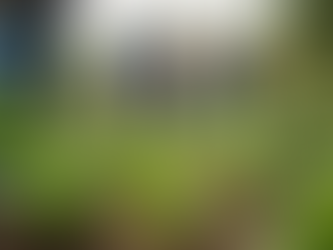 Creating Community Gardens: A Guide to Horticulture Therapy