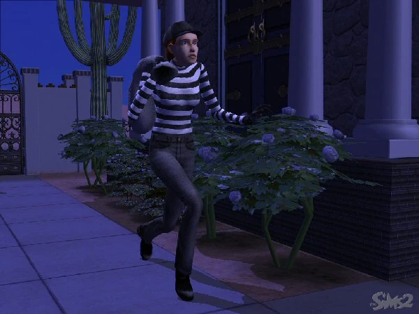 Captura The Sims 2