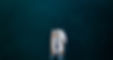 Lagoon65_Drone_9.jpg