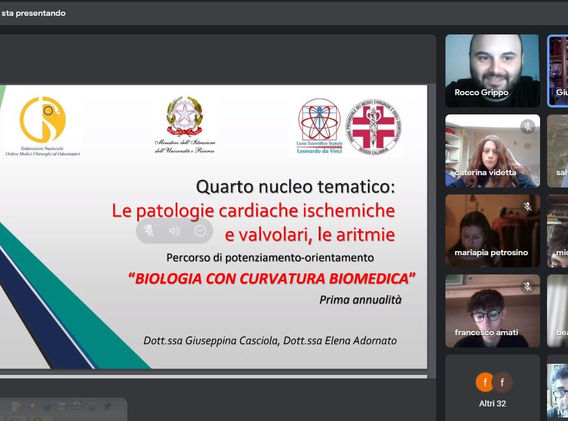 Cattura_GRIPPO 1.JPG