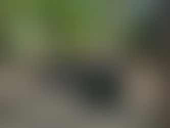 【E3・E4】遠足 ファンファーム