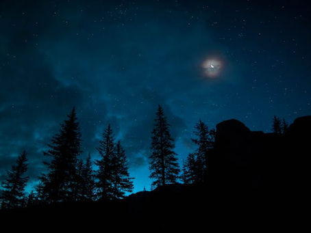 Red is the Berry Still