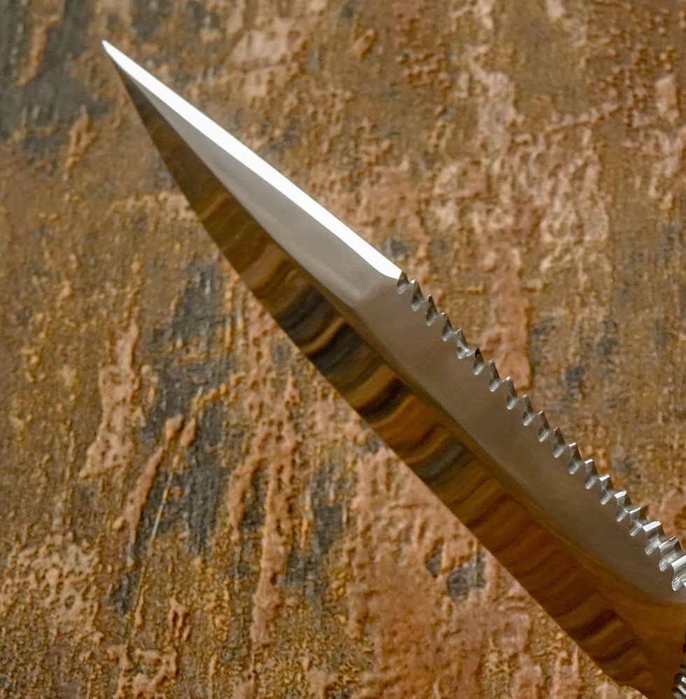 Thumbnail: rugged sawback spine