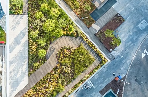 מבט אווירי על גינת גג מסחרית במשרדי Wix הכוללת שבילי עץ מתעגלים, אזורי צמחייה מגוונים, אדניות מרובעות וישיבה משולבת בתוך מרחב אורבני מודרני.