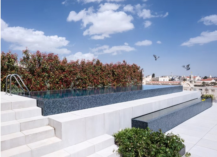 בריכת אינפיניטי בפנטהאוס עם חיפוי פסיפס כחול, מוקפת אדניות צמחייה על גג עירוני פתוח תחת שמיים כחולים