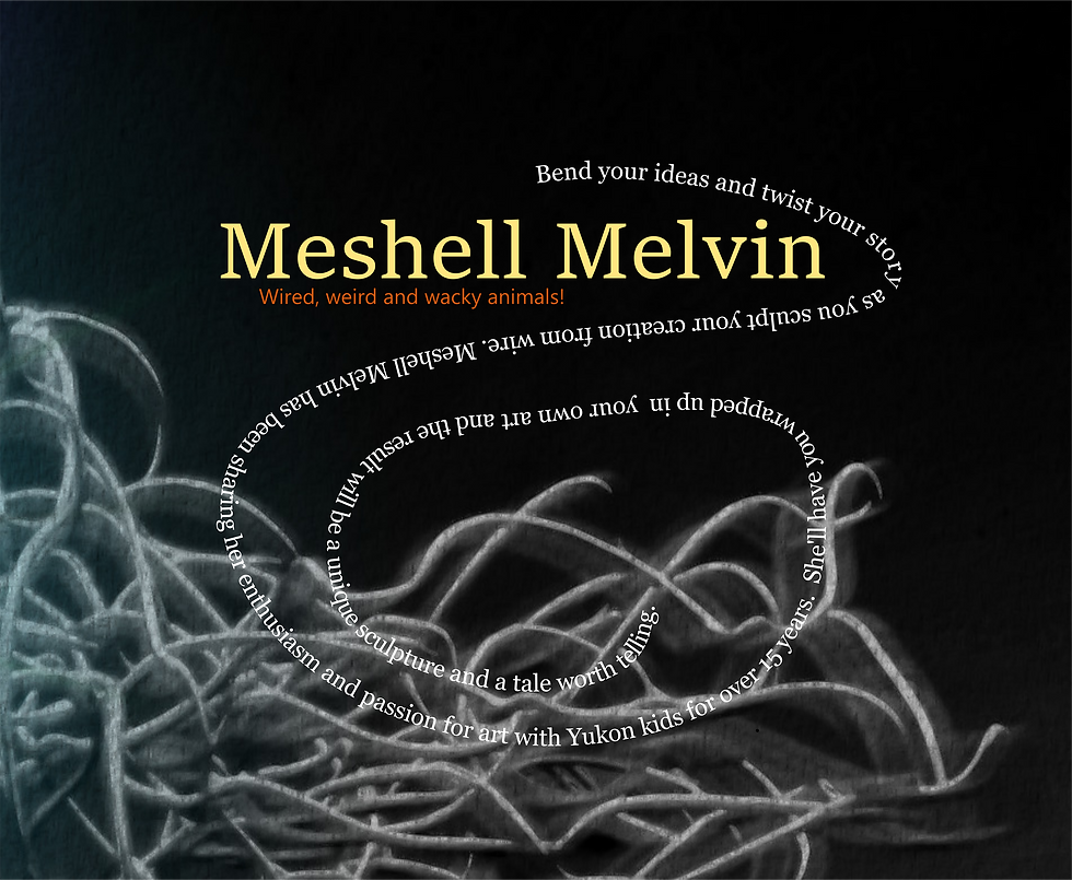 meshell wire