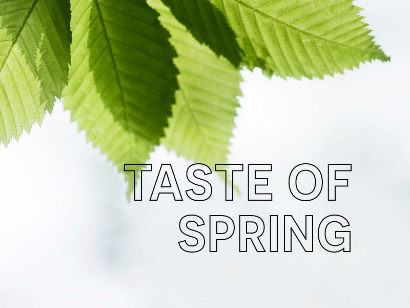 TASTE OF SPRING