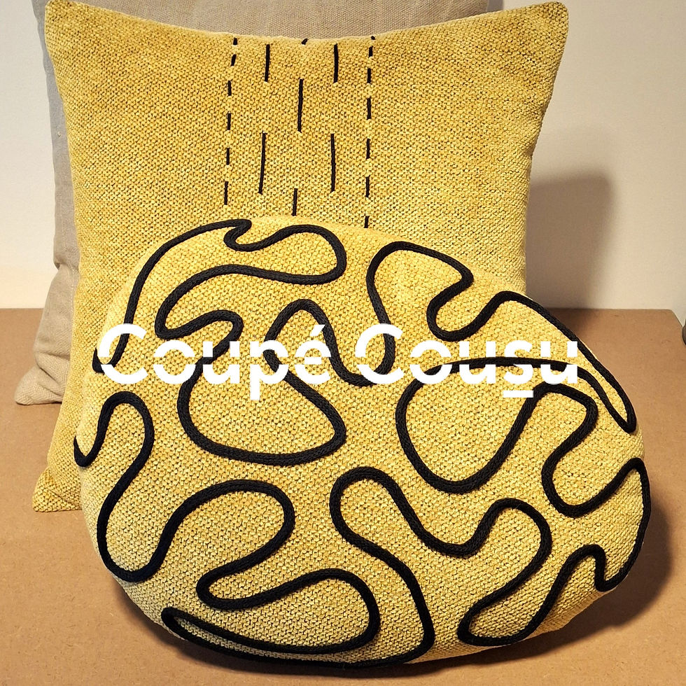 Coussin galet retravaillé en application contrastée.