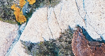 Pierre et lichen