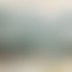 これは、どこ? 何をしてるのかな?