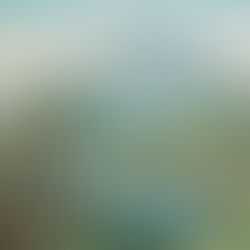 西村俊郎の制作現場(4):
西伊豆と富士山