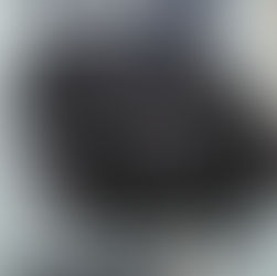 忠犬ハチ公像と安藤照@渋谷区立松濤美術館