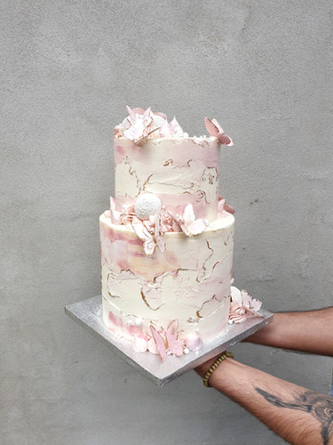 Rustic butterfly cake