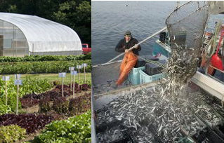 Maine Farm & Sea Cooperative wins the Maine Farm, Fish, and Food Innovation Challenge