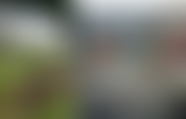 Maine Farm & Sea Cooperative wins the Maine Farm, Fish, and Food Innovation Challenge