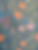 Homepage2