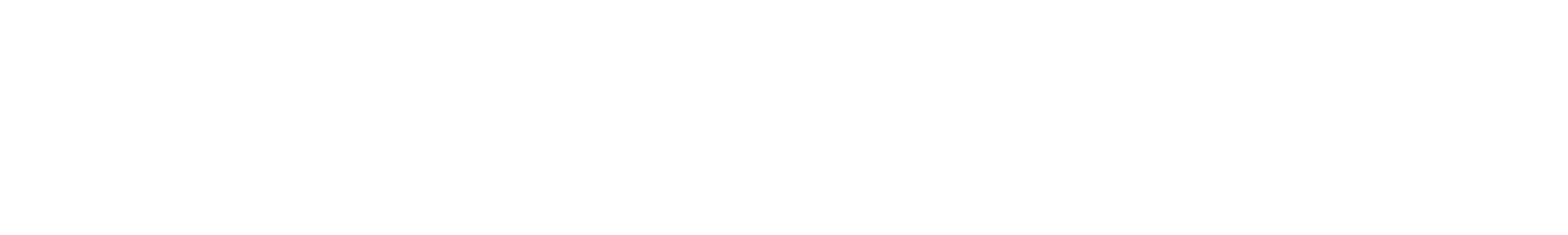 Voice Of The Youth logo wordmark.png