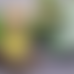 ניקוי רעלים בעזרת רטיות שמן קיק - פשוט ויעיל!