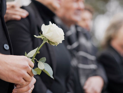 Close up of hands holding a white flower with people in the background wearing black in a funeral.