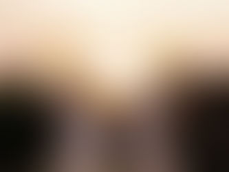 Female hands holding a brain.