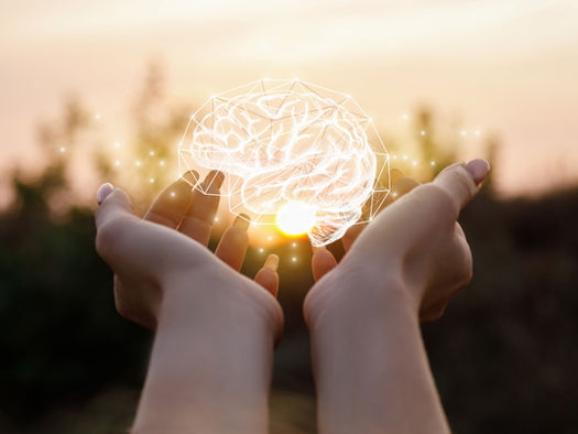 Female hands holding a brain.