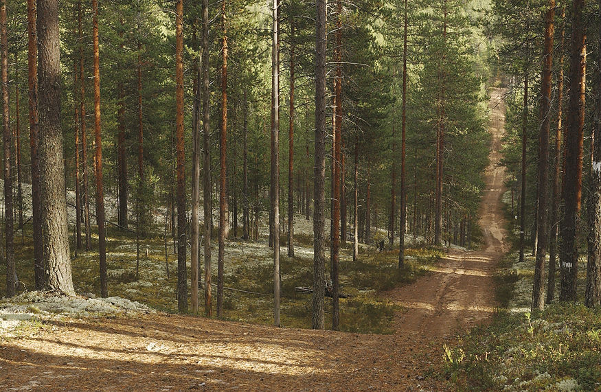 polku_lowres.jpg