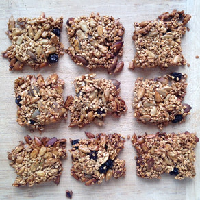 טו בשבט שמח, חג לאילנות