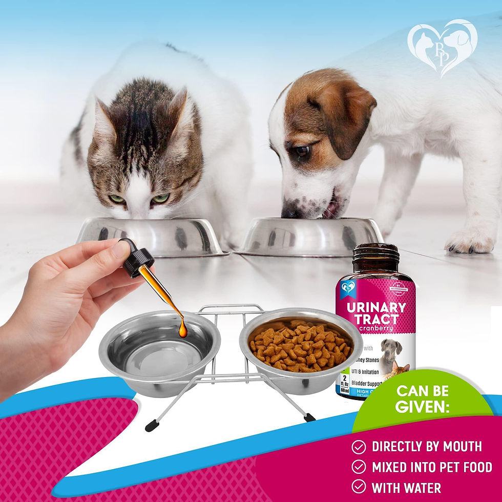 Miniatura: Cat Dog Urinary Tract Infection Treatment Natural UTI Care Drops with Cranberry