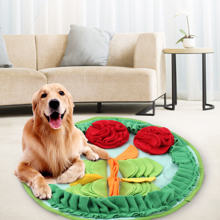Rabbit Hamster Sniff Pad for Pet Training