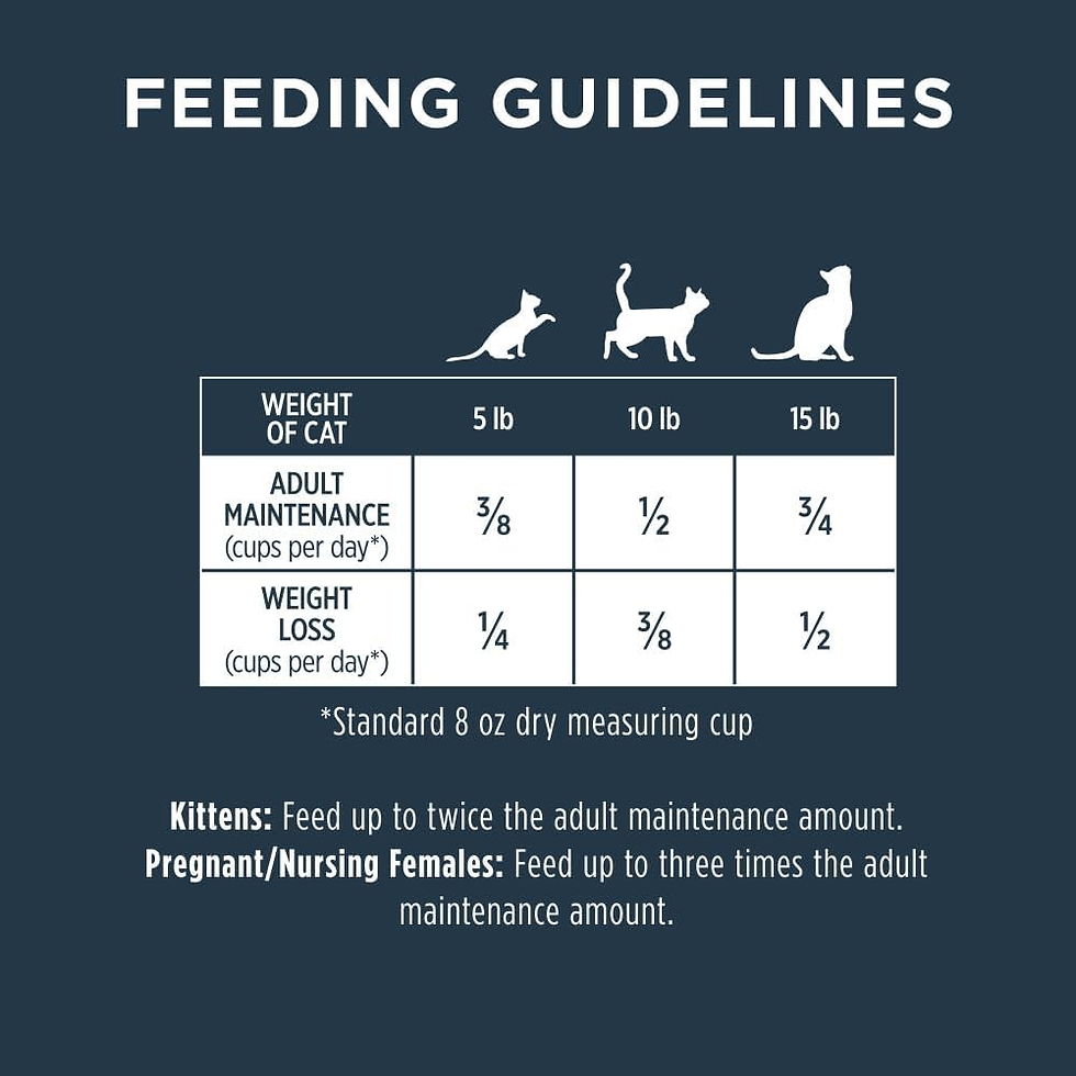 Miniatura: Rawboost, Dry Cat Food + Freeze Dried, Real Chicken, 10 Lb Bag