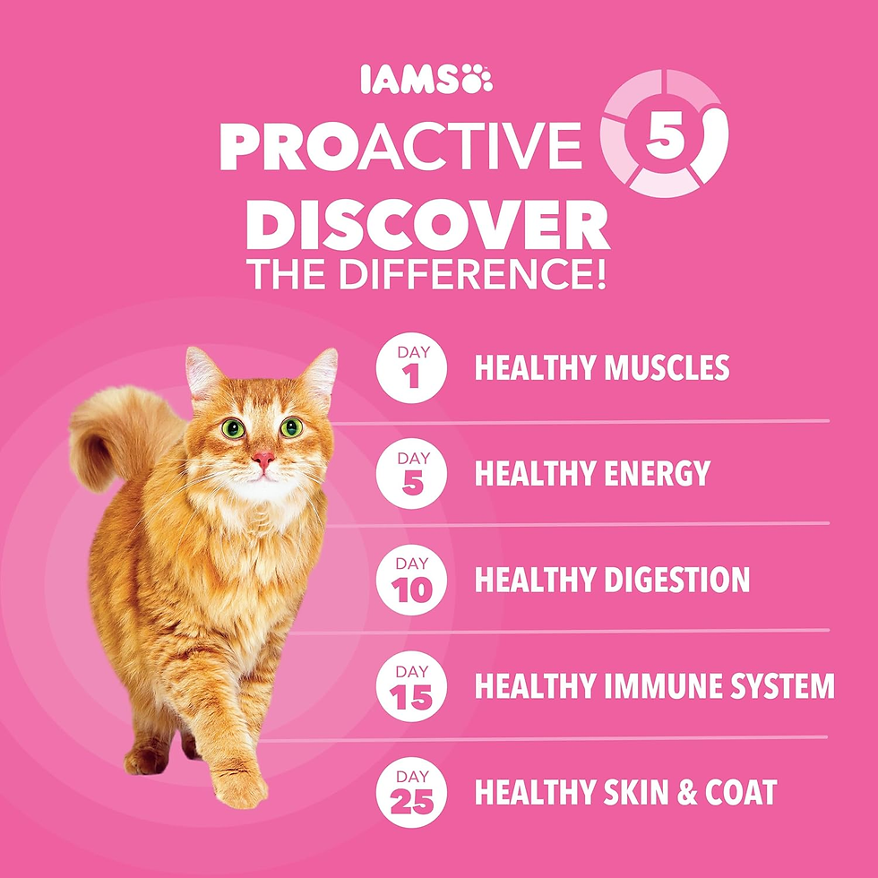 Miniatura: Proactive Health Sensitive Digestion & Skin Dry Cat Food, Adult Cat Food Dry Rec