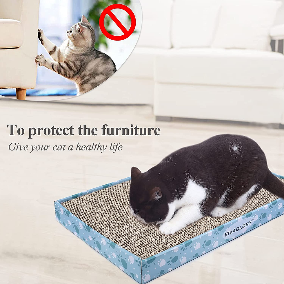 Miniatura: Cat Scratcher Padpal Cat Scratching Board, Cardboard Scratcher with Catnip for I