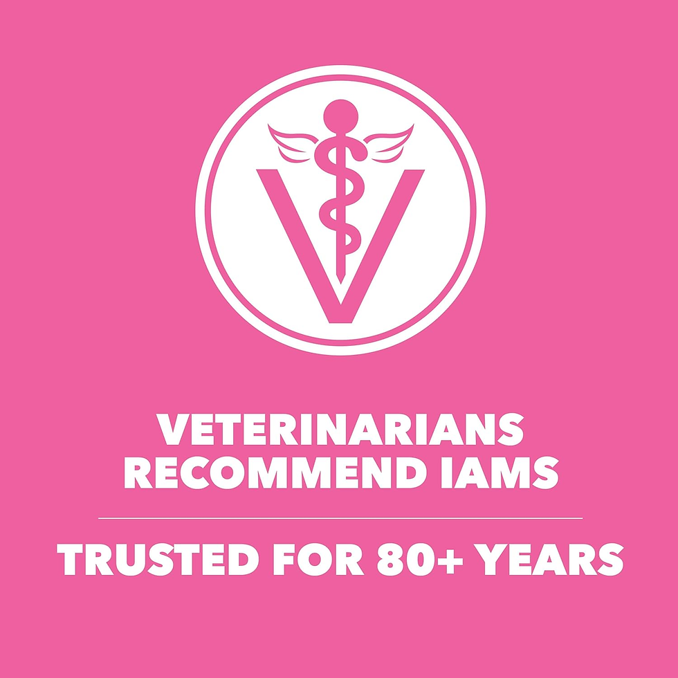 Miniatura: Proactive Health Sensitive Digestion & Skin Dry Cat Food, Adult Cat Food Dry Rec