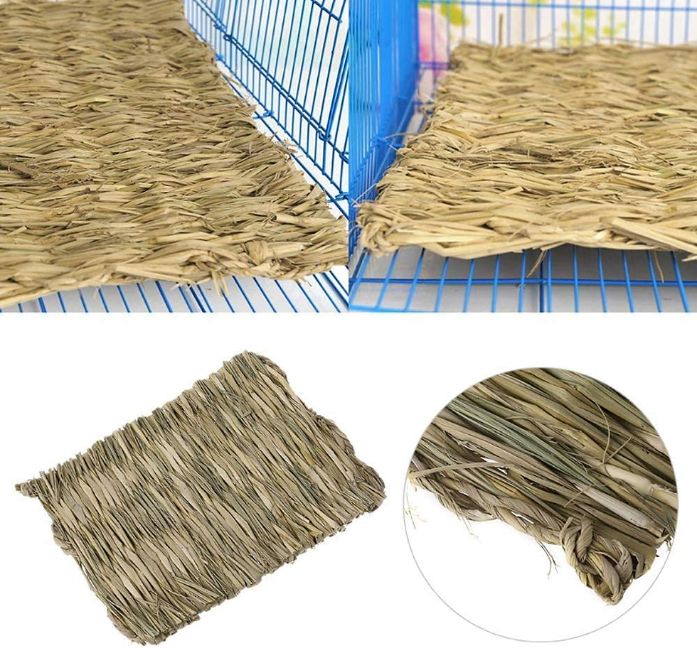 Miniatura: Grass Mat for Rabbit Bunny Chew Toys Woven Bed Mat for Guinea Pig Chinchilla Squ